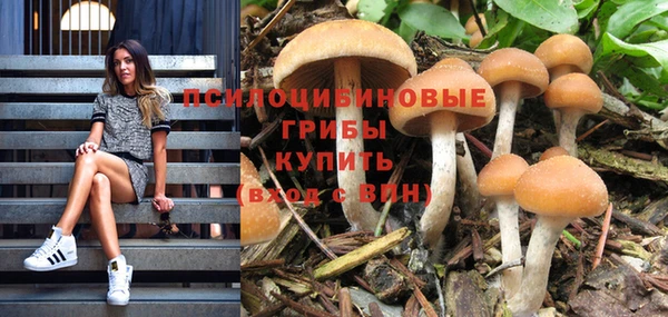 кокс Володарск