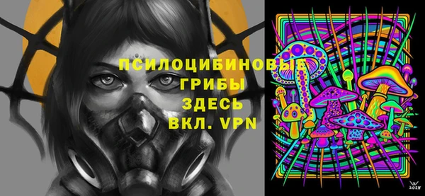трава Верея